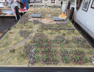 Sc. 2 Full view orchard to mountain Full view portrait Scenario 2